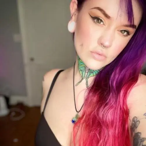 diefreieauswahl image 0